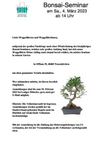 Bonsai-Seminar @ Familie Ahling